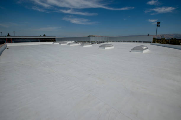 Best Roof Insulation Installation  in Groves, TX