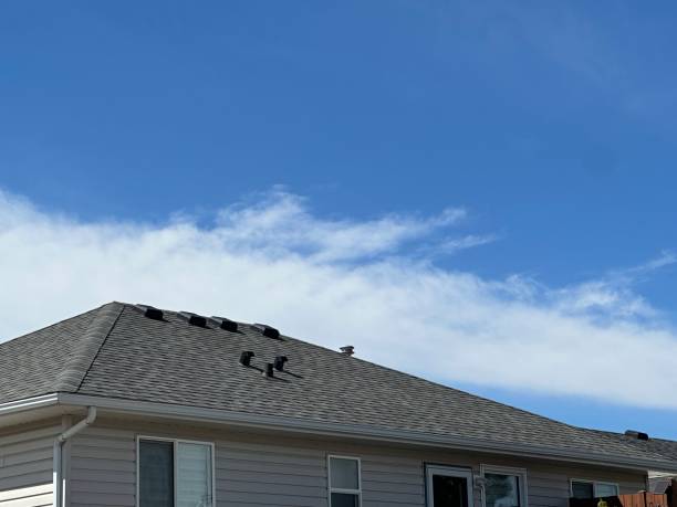 Best Roof Coating and Sealing  in Groves, TX